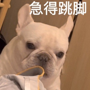 एर्गगडफ्फ्फ्ध435435