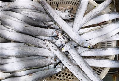 डिसादसदसद